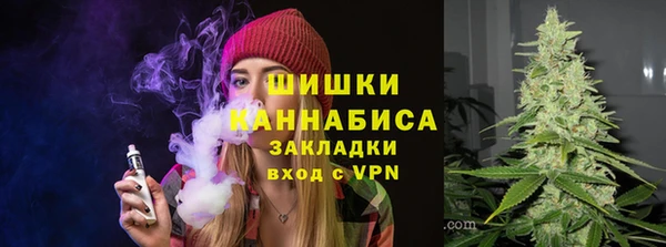 шишки Беломорск
