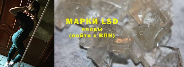 шишки Беломорск