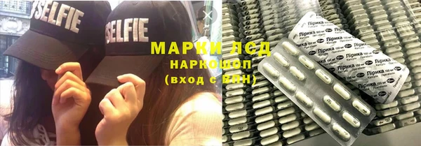 шишки Беломорск